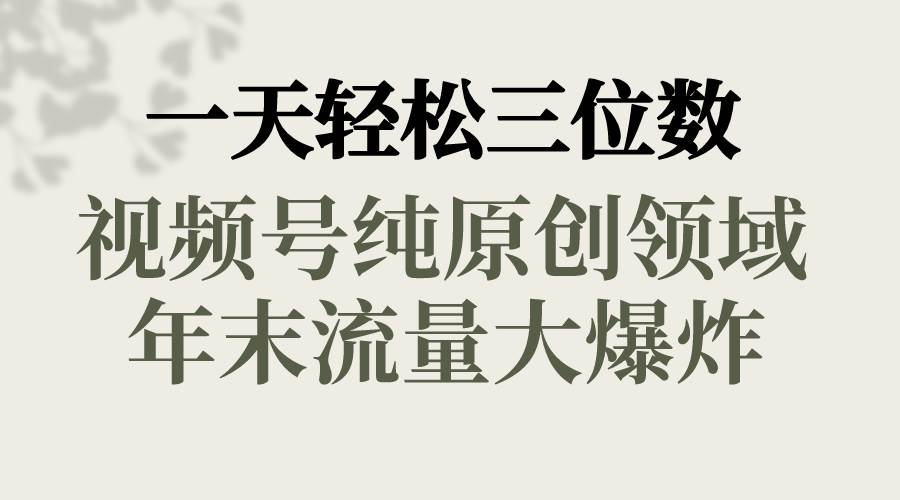 一天轻松三位数，视频号纯原创领域，春节童子送祝福，年末流量大爆炸-时光资源网