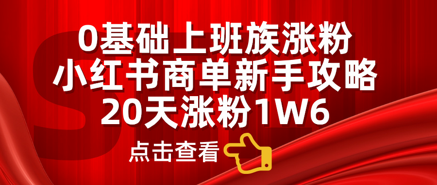 0基础上班族涨粉，小红书商单新手攻略，20天涨粉1.6w-时光资源网