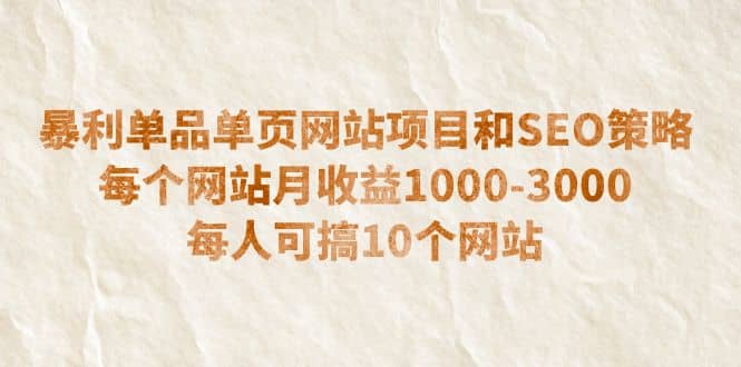 暴利单品单页网站项目和SEO策略 每个网站月收益1000-3000 每人可搞10个-时光资源网