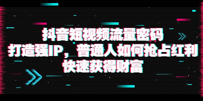 抖音短视频流量密码：打造强IP，普通人如何抢占红利，快速获得财富-时光资源网
