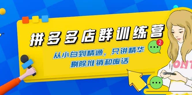 拼多多店群训练营：从小白到精通，只讲精华，剔除推销和废话-时光资源网