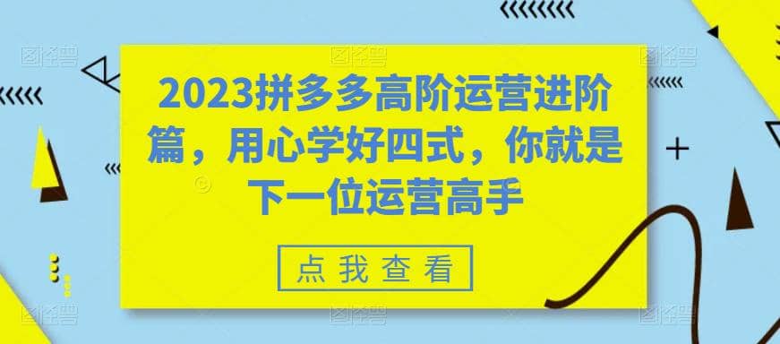 2023拼多多高阶运营进阶篇，用心学好四式，你就是下一位运营高手-时光资源网
