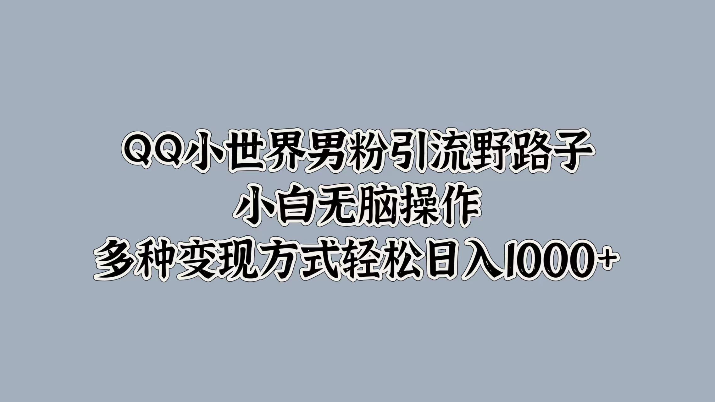 QQ小世界男粉引流野路子，小白无脑操作，多种变现方式轻松日入1000+-时光资源网