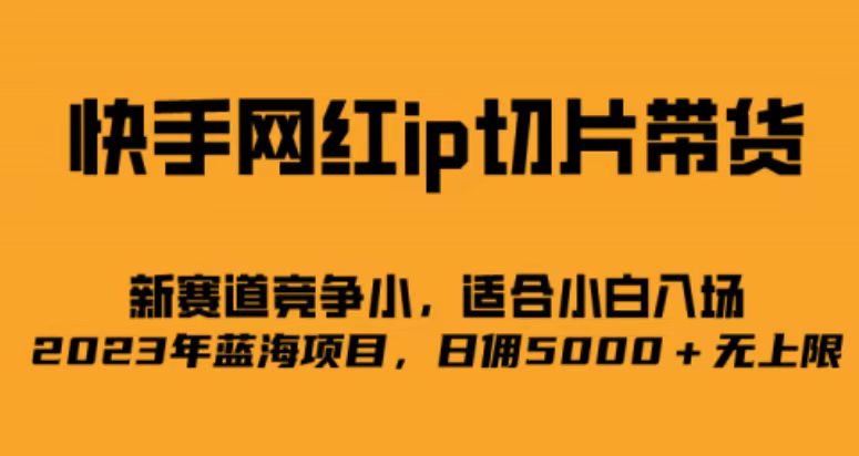 快手网红ip切片新赛道，竞争小事，适合小白 2023蓝海项目-时光资源网
