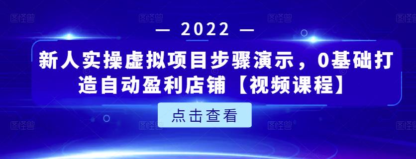 新人实操虚拟项目步骤演示，0基础打造自动盈利店铺【视频课程】-时光资源网
