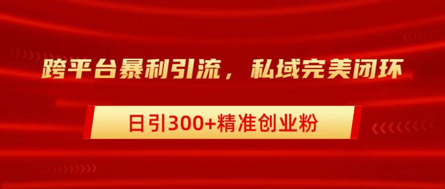 跨平台暴力引流，私域完美闭环，日引300+精准创业粉-时光资源网