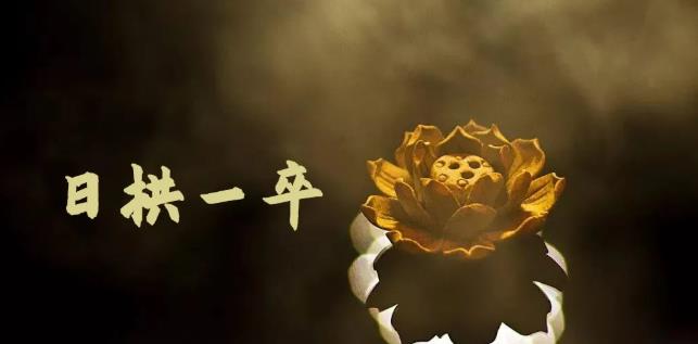 无脑搬砖，普通人可以复制的副业赚钱项目(附软件)-时光资源网