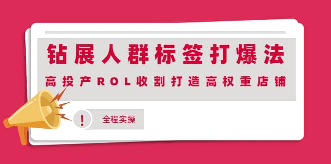 钻展人群标签打爆法，高投产ROL收割打造高权重店铺(全程实操)-时光资源网
