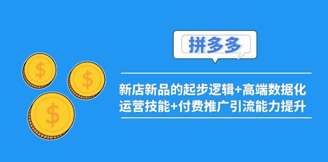 2022拼多多：新店新品的起步逻辑+高端数据化运营技能+付费推广引流能力提升-时光资源网