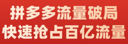 阿杰·拼多多流量破局:如何打黑标，爆款的思路，拼多多流量框架，快速抢占百亿流量-时光资源网