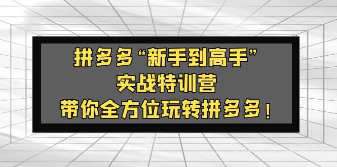 拼多多“新手到高手”实战特训营：带你全方位玩转拼多多-时光资源网