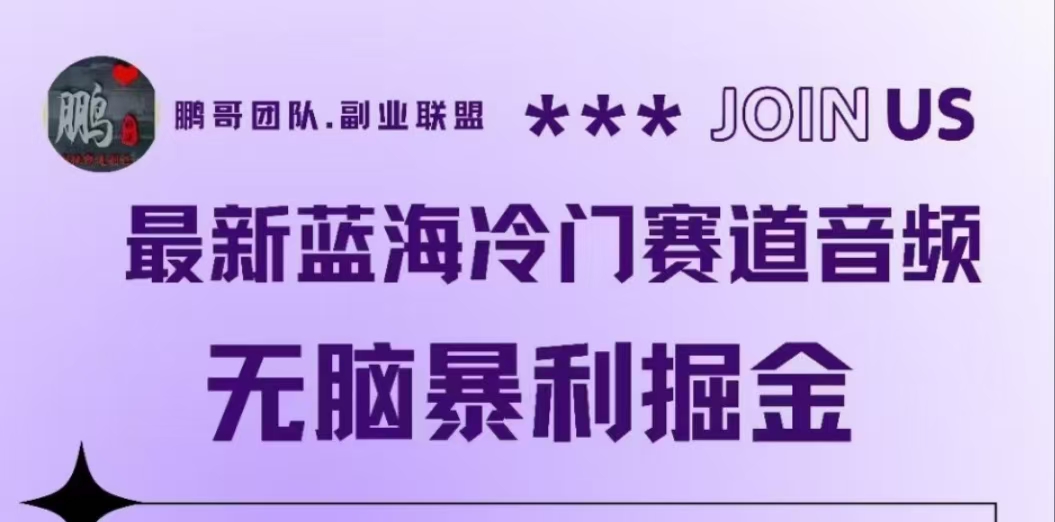 最新蓝海冷门赛道音频，无脑暴利掘金-时光资源网