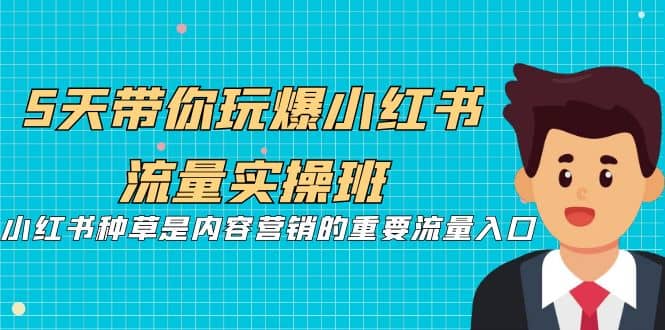 5天带你玩爆小红书流量实操班，小红书种草是内容营销的重要流量入口-时光资源网