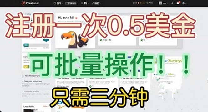 国外项目注册一次0.5美金 只需三分钟无脑操作 可批量放大 小白工作室福利-时光资源网