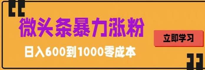微头条暴力涨粉技巧搬运文案就能涨几万粉丝，简单0成本，日赚600-时光资源网