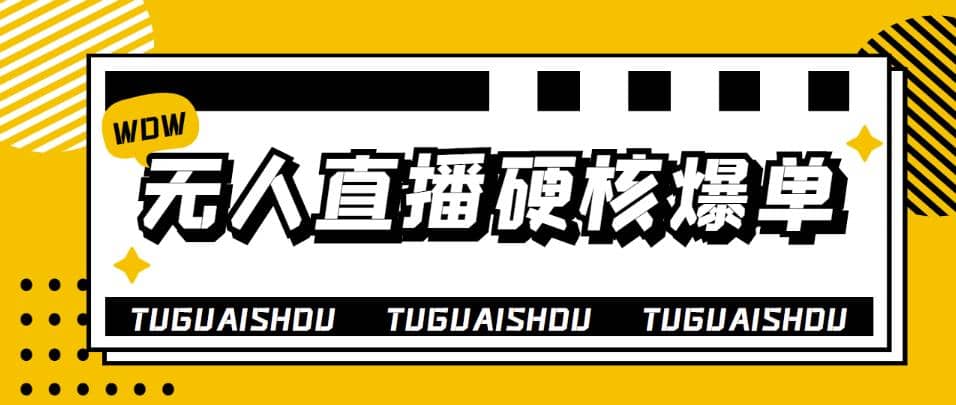 大飞无人直播硬核爆单技术，轻松玩转无人直播-时光资源网