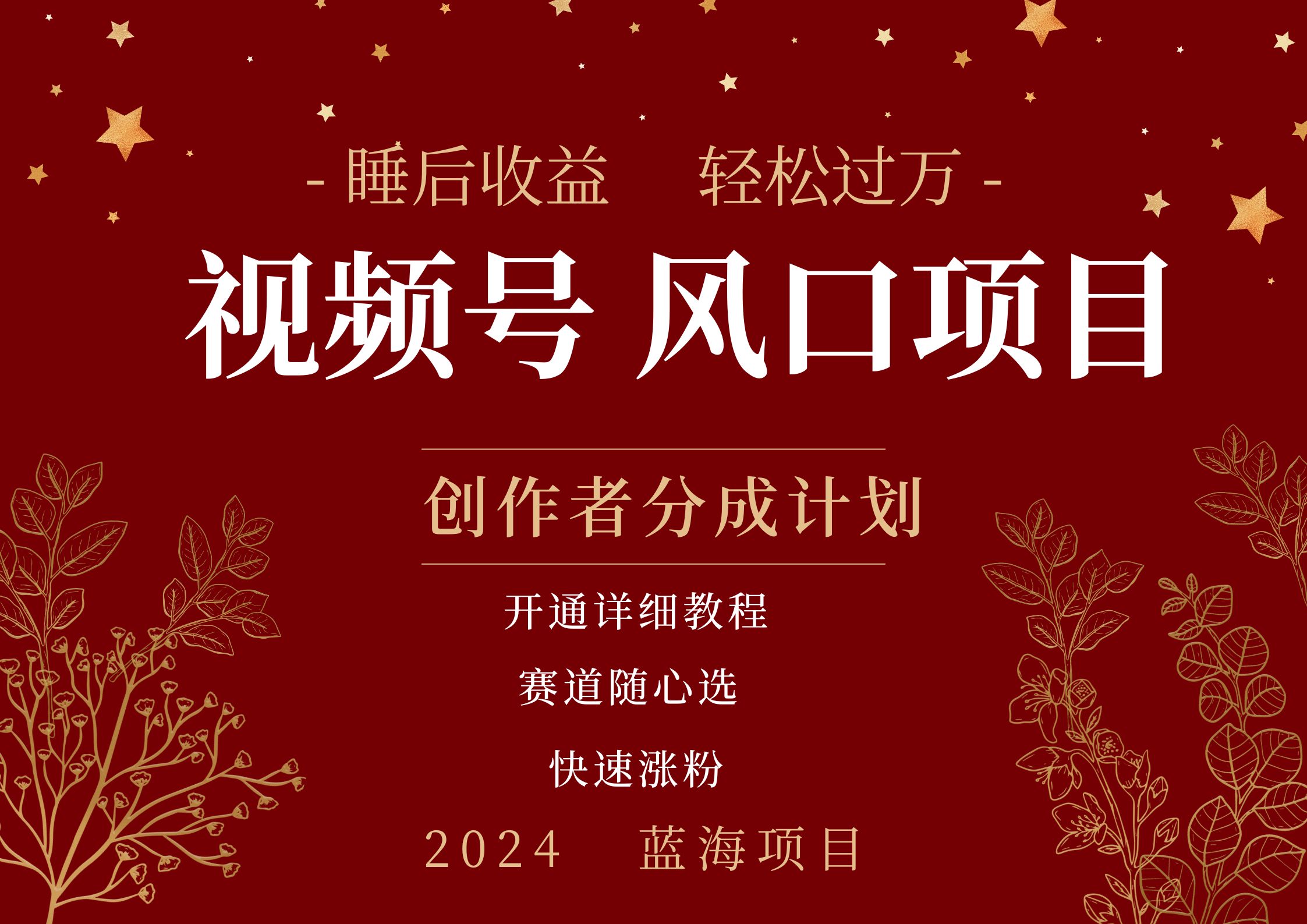 拥有睡眠收益的微信视频号大风口项目，轻松月入过万+，多赛道选择，可矩阵，玩法简单轻松上手-时光资源网