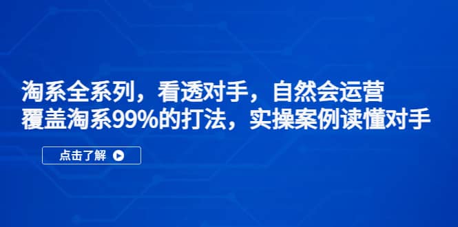淘系全系列，看透对手，自然会运营，覆盖淘系99%·打法，实操案例读懂对手-时光资源网