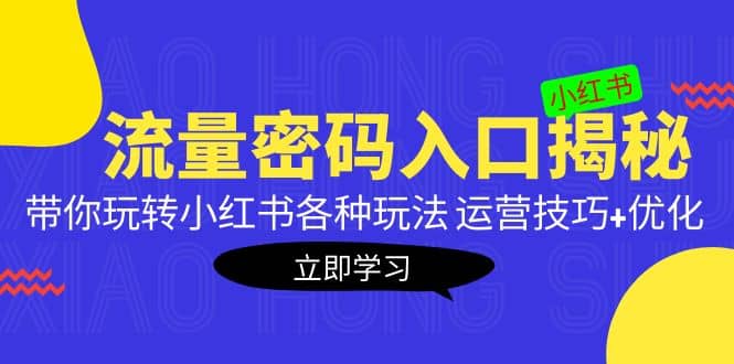 小红书流量密码入口揭秘：带你玩转小红书各种玩法 运营技巧+优化-时光资源网