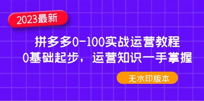 2023拼多多0-100实战运营教程，0基础起步，运营知识一手掌握（无水印）-时光资源网