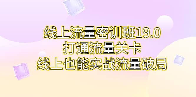 线上流量密训班19.0，打通流量关卡，线上也能实战流量破局-时光资源网