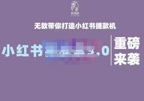 谢无敌·小红书实战营3.0，无敌带你打造小红书提款机 价值7999元-时光资源网