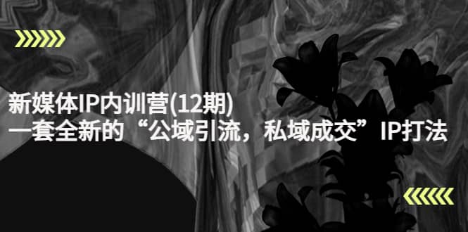 新媒体IP内训营(12期)，一套全新的“公域引流，私域成交”IP打法，直接带走-时光资源网