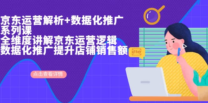 京东运营解析与数据化推广系列课，全维度讲解京东运营逻辑+数据化推广提升店铺销售额-时光资源网