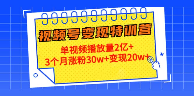 20天视频号变现特训营：单视频播放量2亿+-时光资源网
