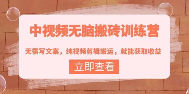 中视频无脑搬砖训练营：无需写文案，纯视频剪辑搬运，就能获取收益-时光资源网