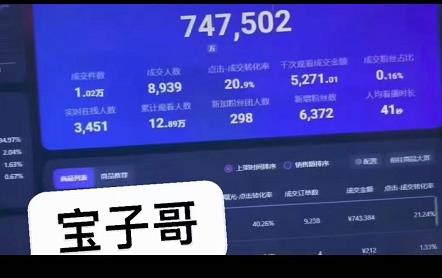 宝子哥无人直播，半无人直播，Obs+伴侣玩法，快速打标签+养鱼-时光资源网
