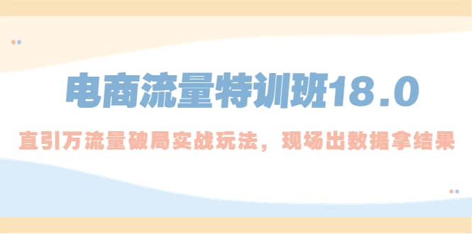 电商流量特训班18.0，直引万流量破局实操玩法，现场出数据拿结果-时光资源网