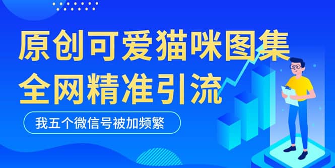 黑科技纯原创可爱猫咪图片，全网精准引流，实操5个VX号被加频繁-时光资源网