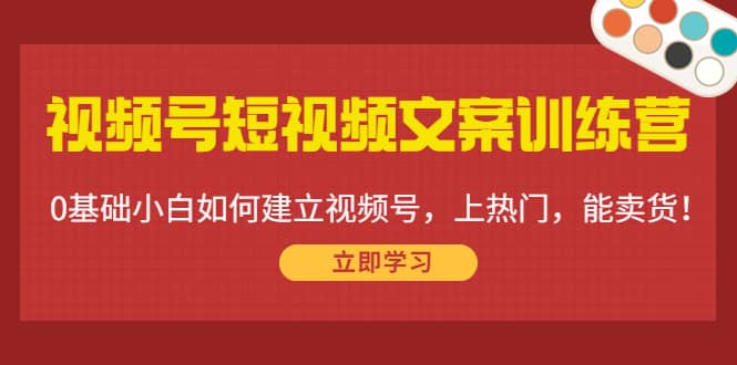 视频号短视频文案训练营：0基础小白如何建立视频号，上热门，能卖货！-时光资源网