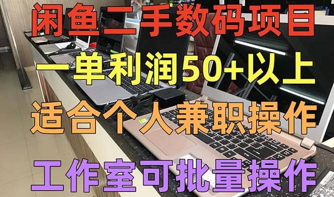 闲鱼二手数码项目，个人副业低保收入，工作室批量放大操作-时光资源网