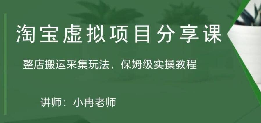淘宝虚拟整店搬运采集玩法分享课：整店搬运采集玩法，保姆级实操教程-时光资源网