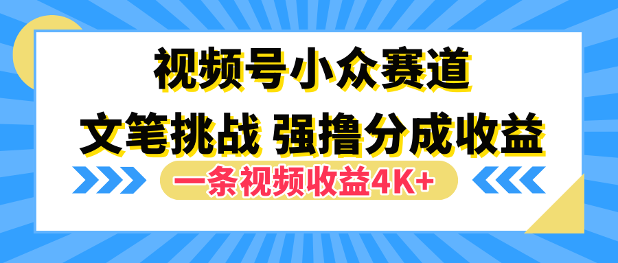 视频号小众赛道，文笔挑战，一条视频收益4K+-时光资源网