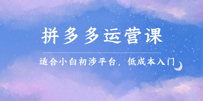 拼多多运营课，适合小白初涉平台，低成本入门-时光资源网