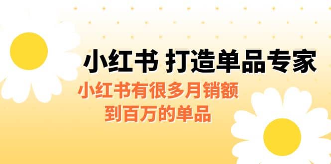 某公众号付费文章《小红书 打造单品专家》小红书有很多月销额到百万的单品-时光资源网