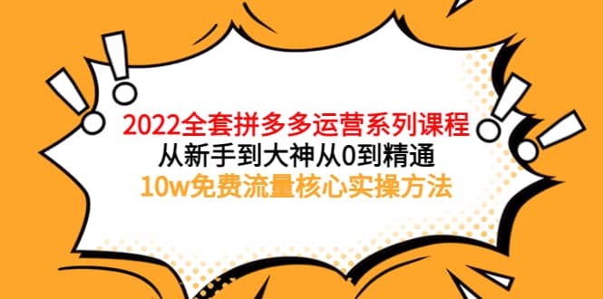 2022全套拼多多运营课程，从新手到大神从0到精通，10w免费流量核心实操方法-时光资源网