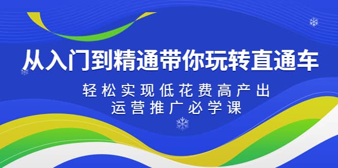 从入门到精通带你玩转直通车：轻松实现低花费高产出，35节运营推广必学课-时光资源网