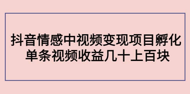 抖音情感中视频变现项目孵化-时光资源网
