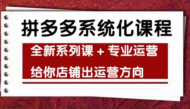 车神陪跑，拼多多系统化课程，全新系列课+专业运营给你店铺出运营方向-时光资源网