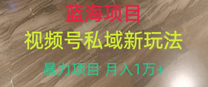 蓝海项目，视频号私域新玩法，暴力项目月入1万+【揭秘】-时光资源网