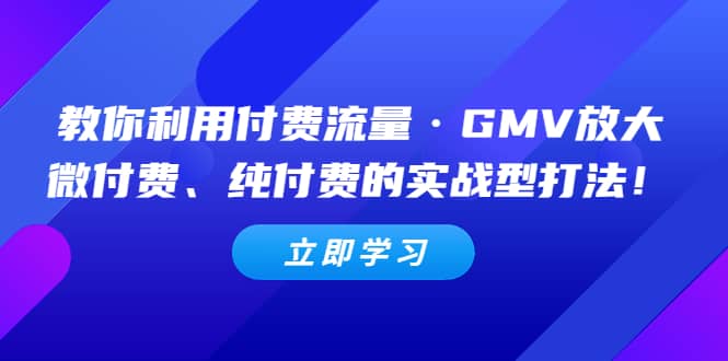 教你利用付费流量·GMV放大，微付费、纯付费的实战型打法-时光资源网