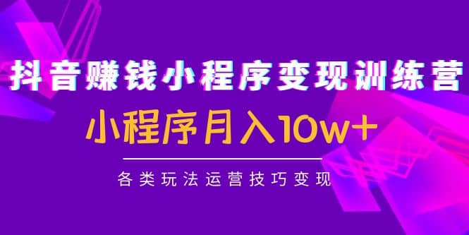 抖音小程序变现训练营：小程序各类玩法运营技巧变现-时光资源网