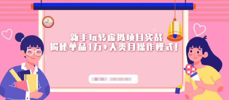 新手玩转虚拟项目实战，揭秘单品1万+大类目操作模式【视频课程】-时光资源网