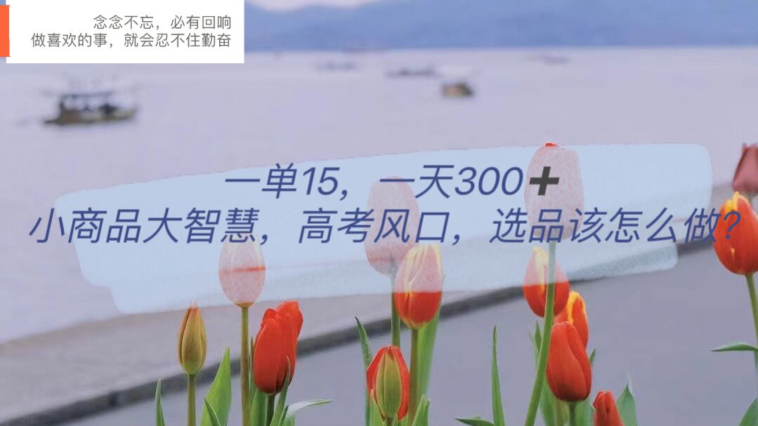 一单15，一天300+，小商品大智慧，高考风口，选品该怎么布局-时光资源网