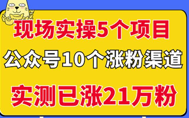 现场实操5个公众号项目，10个涨粉渠道，实测已涨21万粉！-时光资源网