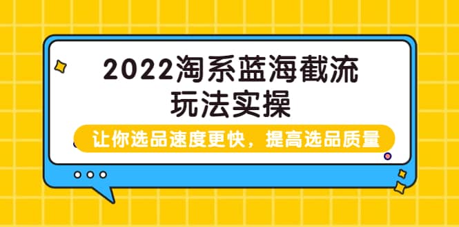 2022淘系蓝海截流玩法实操：让你选品速度更快，提高选品质量（价值599）-时光资源网